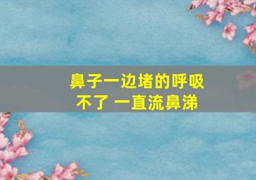 鼻子一边堵的呼吸不了 一直流鼻涕